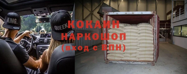 тгк Бородино