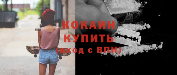 тгк Бородино
