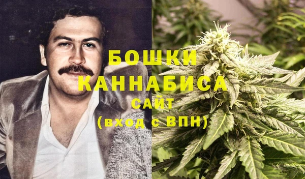 тгк Бородино